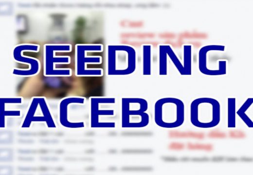 Seeding Facebook Như Thế Nào Mới Hiệu Quả? 5f77f4a71f57b.jpeg