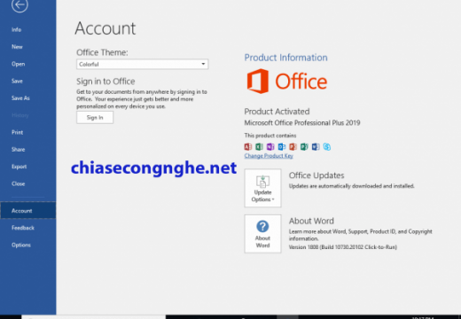 Office 2019 Professional Plus 2