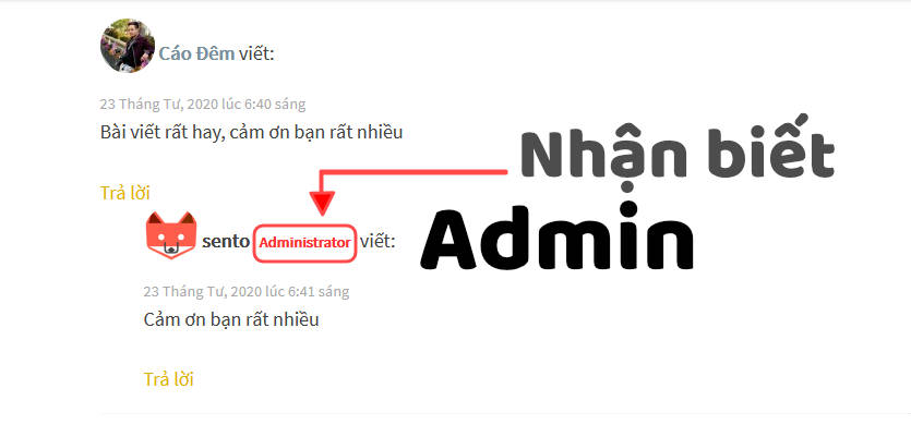 Code nhận biết Admin khi bình luận trên WordPress