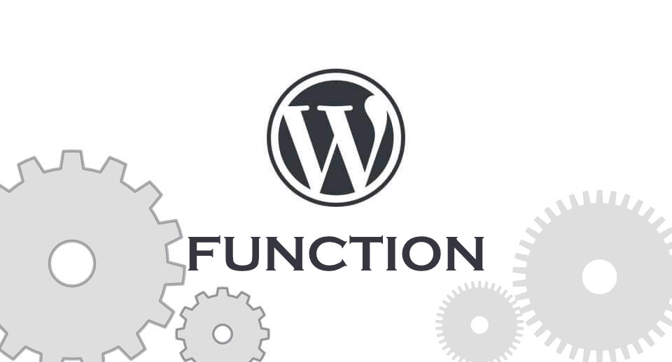 Tổng hợp code function hay trong WordPress